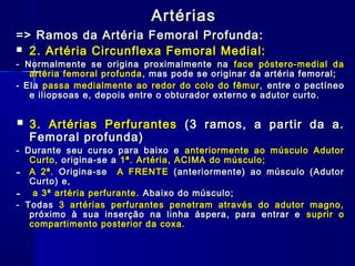 Artérias
=> Ramos da Artéria Femoral Profunda:
 2. Artéria Circunflexa Femoral Medial:
- Normalmente se origina proximalmente na face póstero-medial da
   artéria femoral profunda , mas pode se originar da artéria femoral;
- Ela passa medialmente ao redor do colo do fêmur, entre o pectíneo
   e iliopsoas e, depois entre o obturador externo e adutor curto.


   3. Artérias Perfurantes (3 ramos, a partir da a.
    Femoral profunda)
- Durante seu curso para baixo e anteriormente ao músculo Adutor
   Curto, origina-se a 1ª. Artéria, ACIMA do músculo;
- A 2ª. Origina-se A FRENTE (anteriormente) ao músculo (Adutor
   Curto) e,
- a 3ª artéria perfurante. Abaixo do músculo;
- Todas 3 artérias perfurantes penetram através do adutor magno,
   próximo à sua inserção na linha áspera, para entrar e suprir o
   compartimento posterior da coxa.
 