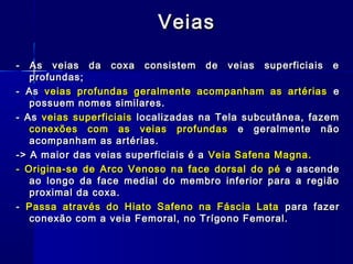 Veias

-  As veias da coxa consistem de veias superficiais e
   profundas;
- As veias profundas geralmente acompanham as artérias e
   possuem nomes similares.
- As veias superficiais localizadas na Tela subcutânea, fazem
   conexões com as veias profundas e geralmente não
   acompanham as artérias.
-> A maior das veias superficiais é a Veia Safena Magna.
- Origina-se de Arco Venoso na face dorsal do pé e ascende
   ao longo da face medial do membro inferior para a região
   proximal da coxa.
- Passa através do Hiato Safeno na Fáscia Lata para fazer
   conexão com a veia Femoral, no Trígono Femoral.
 