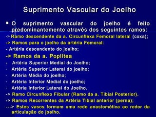 Suprimento Vascular do Joelho
   O suprimento vascular do joelho é feito
    predominantemente através dos seguintes ramos:
-> Ramo descendente da a. Circunflexa Femoral lateral (coxa);
-> Ramos para o joelho da artéria Femoral:
- Artéria descendente do joelho;
-> Ramos da a. Poplítea
-  Artéria Superior Medial do Joelho;
-  Artéria Superior Lateral do joelho;
-  Artéria Média do joelho;
-  Artéria Inferior Medial do joelho;
-  Artéria Inferior Lateral do Joelho.
-> Ramo Circunflexo Fibular (Ramo da a. Tibial Posterior).
-> Ramos Recorrentes da Artéria Tibial anterior (perna);
---> Estes vasos formam uma rede anastomótica ao redor da
   articulação do joelho.
 