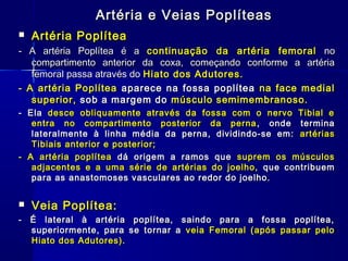 Artéria e Veias Poplíteas
   Artéria Poplítea
- A artéria Poplítea é a continuação da artéria femoral no
   compartimento anterior da coxa, começando conforme a artéria
   femoral passa através do Hiato dos Adutores.
- A artéria Poplítea aparece na fossa poplítea na face medial
   superior, sob a margem do músculo semimembranoso.
- Ela desce obliquamente através da fossa com o nervo Tibial e
   entra no compartimento posterior da perna , onde termina
   lateralmente à linha média da perna, dividindo-se em: artérias
   Tibiais anterior e posterior;
- A artéria poplítea dá origem a ramos que suprem os músculos
   adjacentes e a uma série de artérias do joelho, que contribuem
   para as anastomoses vasculares ao redor do joelho.


   Veia Poplítea:
- É lateral à artéria poplítea, saindo para a fossa poplítea,
  superiormente, para se tornar a veia Femoral (após passar pelo
  Hiato dos Adutores).
 