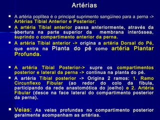 Artérias
   A artéria poplítea é o principal suprimento sangüíneo para a perna ->
    Artérias Tibial Anterior e Posterior;
   A artéria Tibial anterior passa anteriormente, através da
    abertura na parte superior da               membrana interóssea,
    suprindo o compartimento anterior da perna.
   A artéria Tibial anterior -> origina a artéria Dorsal do Pé,
    que entra na Planta do pé como artéria Plantar
    Profunda.

   A artéria Tibial Posterior-> supre os compartimentos
    posterior e lateral da perna -> continua na planta do pé.
   A artéria Tibial posterior -> Origina 2 ramos: 1. Ramo
    Circunflexo Fibular (ao redor do colo da fíbula,
    participando da rede anastomótica do joelho) e 2. Artéria
    Fibular (desce na face lateral do compartimento posterior
    da perna).

   Veias: As veias profundas no compartimento posterior
    geralmente acompanham as artérias.
 