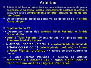 Artérias
   Artéria tibial Anterior: Associada ao compartimento anterior da perna,
    originando-se da artéria Poplítea (compartimento posterior da perna) e,
    passando para o compartimento anterior através da membrana
    interóssea.
   Da extremidade distal da perna vai ao dorso do pé -> artéria
    Dorsal do pé.

  Suprimento do Pé:
-> Ocorre por ramos das artérias Tibial Posterior e Artéria
   Dorsal do Pé.
-> Artéria Tibial Posterior (Planta do pé) -> origina as artérias
   Plantares Medial e Lateral;
- A artéria Plantar Lateral + a extremidade terminal da
   artéria dorsal do pé (artéria plantar profunda) => formar
   o Arco Plantar profundo -> ramos do arco suprem os
   dedos.
... -> Arco Plantar Profundo -> Origina as artérias
    Metatarsais Plantares (4) 1 ramo digital para o
    dedo mínimo artérias Digitais Plantares.
 