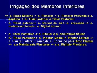 Irrigação dos Membros Inferiores

=> a. Ilíaca Externa -> a. Femoral -> a. Femoral Profunda e a.
  poplítea -> a. Tibial anterior e Tibial Posterior;
 a. Tibial anterior-> a. Dorsal do pé-> a. arqueada -> a.
  metatarsal dorsal-> a. Digital dorsal;

   a. Tibial Posterior -> a. Fibular e a. circunflexa fibular
   A. Tibial Posterior-> a. Plantar Medial e Plantar Lateral ->
    a. Plantar Lateral + ramo da a. Dorsal do pé- > Arco Plantar
    -> a.a Metatarsais Plantares -> a.a. Digitais Plantares.
 