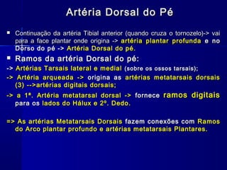 Artéria Dorsal do Pé
   Continuação da artéria Tibial anterior (quando cruza o tornozelo)-> vai
    para a face plantar onde origina -> artéria plantar profunda e no
    Dorso do pé -> Artéria Dorsal do pé.
   Ramos da artéria Dorsal do pé:
-> Artérias Tarsais lateral e medial (sobre os ossos tarsais);
-> Artéria arqueada -> origina as artérias metatarsais dorsais
   (3) -->artérias digitais dorsais;
-> a 1ª. Artéria metatarsal dorsal -> fornece ramos digitais
   para os lados do Hálux e 2º. Dedo.

=> As artérias Metatarsais Dorsais fazem conexões com Ramos
  do Arco plantar profundo e artérias metatarsais Plantares.
 
