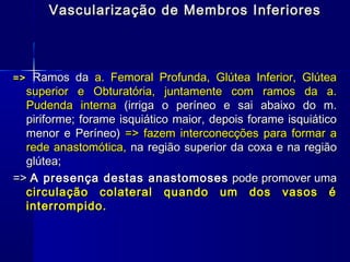 Vascularização de Membros Inferiores



=> Ramos da a. Femoral Profunda, Glútea Inferior, Glútea
  superior e Obturatória, juntamente com ramos da a.
  Pudenda interna (irriga o períneo e sai abaixo do m.
  piriforme; forame isquiático maior, depois forame isquiático
  menor e Períneo) => fazem interconecções para formar a
  rede anastomótica, na região superior da coxa e na região
  glútea;
=> A presença destas anastomoses pode promover uma
  circulação colateral quando um dos vasos é
  interrompido.
 