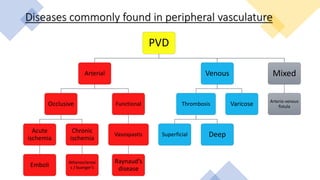 Diseases commonly found in peripheral vasculature
PVD
Arterial
Occlusive
Acute
ischemia
Emboli
Chronic
ischemia
Atherosclerosi
s / buerger’s
Functional
Vasospastis
Raynaud’s
disease
Venous
Thrombosis
Superficial Deep
Varicose
Mixed
Arterio-venous
fistula
 