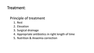 Treatment:
Principle of treatment
1. Rest
2. Elevation
3. Surgical drainage
4. Appropriate antibiotics in right length of time
5. Nutrition & Anaemia correction
 