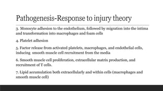 Pathogenesis-Response to injury theory
3. Monocyte adhesion to the endothelium, followed by migration into the intima
and transformation into macrophages and foam cells
4. Platelet adhesion
5. Factor release from activated platelets, macrophages, and endothelial cells,
inducing smooth muscle cell recruitment from the media
6. Smooth muscle cell proliferation, extracellular matrix production, and
recruitment of T cells.
7. Lipid accumulation both extracellularly and within cells (macrophages and
smooth muscle cell)
 
