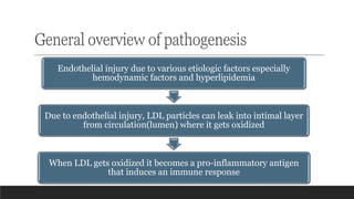 General overview of pathogenesis
Endothelial injury due to various etiologic factors especially
hemodynamic factors and hyperlipidemia
Due to endothelial injury, LDL particles can leak into intimal layer
from circulation(lumen) where it gets oxidized
When LDL gets oxidized it becomes a pro-inflammatory antigen
that induces an immune response
 
