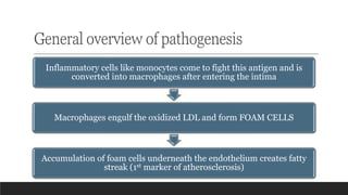 General overview of pathogenesis
Inflammatory cells like monocytes come to fight this antigen and is
converted into macrophages after entering the intima
Macrophages engulf the oxidized LDL and form FOAM CELLS
Accumulation of foam cells underneath the endothelium creates fatty
streak (1st marker of atherosclerosis)
 