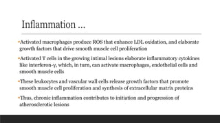 Inflammation …
▪Activated macrophages produce ROS that enhance LDL oxidation, and elaborate
growth factors that drive smooth muscle cell proliferation
▪Activated T cells in the growing intimal lesions elaborate inflammatory cytokines
like interferon-γ, which, in turn, can activate macrophages, endothelial cells and
smooth muscle cells
▪These leukocytes and vascular wall cells release growth factors that promote
smooth muscle cell proliferation and synthesis of extracellular matrix proteins
▪Thus, chronic inflammation contributes to initiation and progression of
atherosclerotic lesions
 