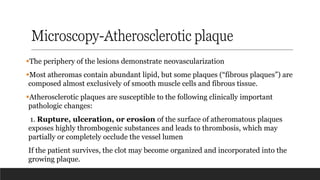 Microscopy-Atherosclerotic plaque
▪The periphery of the lesions demonstrate neovascularization
▪Most atheromas contain abundant lipid, but some plaques (“fibrous plaques”) are
composed almost exclusively of smooth muscle cells and fibrous tissue.
▪Atherosclerotic plaques are susceptible to the following clinically important
pathologic changes:
1. Rupture, ulceration, or erosion of the surface of atheromatous plaques
exposes highly thrombogenic substances and leads to thrombosis, which may
partially or completely occlude the vessel lumen
If the patient survives, the clot may become organized and incorporated into the
growing plaque.
 