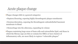 Acute plaque change
▪Plaque changes falls in 3 general categories:
• Rupture/fissuring, exposing highly thrombogenic plaque constituents
• Erosion/ulceration, exposing the thrombogenic subendothelial basement
membrane to blood
• Hemorrhage into the atheroma, expanding its volume
▪Plaques containing large areas of foam cells and extracellular lipid, and those in
which the fibrous caps are thin or contain few SMCs or have clusters of
inflammatory cells, are more likely to rupture-“vulnerable plaques”
 