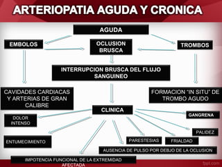 AGUDA
OCLUSION
BRUSCA

EMBOLOS

TROMBOS

INTERRUPCION BRUSCA DEL FLUJO
SANGUINEO
CAVIDADES CARDIACAS
Y ARTERIAS DE GRAN
CALIBRE

FORMACION “IN SITU” DE
TROMBO AGUDO
CLINICA

GANGRENA

DOLOR
INTENSO

PALIDEZ
PARESTESIAS

ENTUMECIMIENTO

FRIALDAD

AUSENCIA DE PULSO POR DEBJO DE LA OCLUSION
IMPOTENCIA FUNCIONAL DE LA EXTREMIDAD
AFECTADA

 