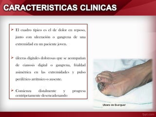  El cuadro típico es el de dolor en reposo,
junto con ulceración o gangrena de una
extremidad en un paciente joven.
 úlceras digitales dolorosas que se acompañan
de cianosis digital o gangrena, frialdad
asimétrica en las extremidades y pulso
periférico arrítmico o ausente.
 Comienza
distalmente
y
progresa
centrípetamente desencadenando clínica.

 