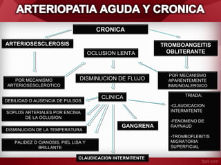 CRONICA
ARTERIOSESCLEROSIS
OCLUSION LENTA

POR MECANISMO
ARTERIOSESCLEROTICO

DISMINUCION DE FLUJO

DEBILIDAD O AUSENCIA DE PULSOS

CLINICA

POR MECANISMO
APARENTEMENTE
INMUNOALERGICO
TRIADA:
-CLAUDICACION
INTERMITENTE

SOPLOS ARTERIALES POR ENCIMA
DE LA OCLUSION
DISMINUCION DE LA TEMPERATURA

TROMBOANGEITIS
OBLITERANTE

GANGRENA

PALIDEZ O CIANOSIS, PIEL LISA Y
BRILLANTE
CLAUDICACION INTERMITENTE

-FENOMENO DE
RAYNAUD
-TROMBOFLEBITIS
MIGRATORIA
SUPERFICIAL

 