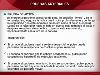 PRUEBAS ARTERIALES
PRUEBA DE ADSON
se le orden al paciente colocarse de pies, en posición “firmes” y se le
toma el pulso; luego se le indica que inspire profundamente y contenga
la respiración ( en este momento se notara como el pulso aumenta).
Luego se le hace girar hacia el lado en que se esta tomando el pulso y
después se ordena elevar el brazo que se esta examinando,
horizontalmente a la altura de la cabeza.
Interpretación:
 Si cunado el paciente inspira se deja de percibir el pulso puede
pensarse en la existencia de costillas supernumerarias.
 Si cuando el paciente gira la cabeza desaparece su pulso puede
sospecharse hipertrofia de músculos escálenos.
 Si cuando el paciente levanta su brazo se suspende su pulso, puede
pensarse en que hay compresión de la arteria humeral o subclavia por
el tendón del pectoral mayor.

 