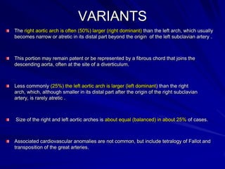 VARIANTS
The right aortic arch is often (50%) larger (right dominant) than the left arch, which usually
becomes narrow or atretic in its distal part beyond the origin of the left subclavian artery .

This portion may remain patent or be represented by a fibrous chord that joins the
descending aorta, often at the site of a diverticulum.

Less commonly (25%) the left aortic arch is larger (left dominant) than the right
arch, which, although smaller in its distal part after the origin of the right subclavian
artery, is rarely atretic .

Size of the right and left aortic arches is about equal (balanced) in about 25% of cases.

Associated cardiovascular anomalies are not common, but include tetralogy of Fallot and
transposition of the great arteries.

 