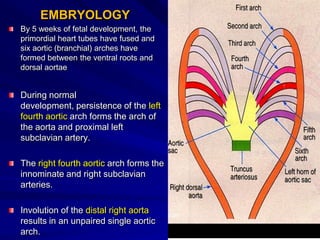EMBRYOLOGY
By 5 weeks of fetal development, the
primordial heart tubes have fused and
six aortic (branchial) arches have
formed between the ventral roots and
dorsal aortae

During normal
development, persistence of the left
fourth aortic arch forms the arch of
the aorta and proximal left
subclavian artery.
The right fourth aortic arch forms the
innominate and right subclavian
arteries.
Involution of the distal right aorta
results in an unpaired single aortic
arch.

Aortic
--sac

 