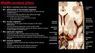 vascular supply of brain | PPTX