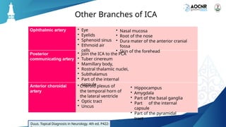 VASCULAR SUPPLY TO THE HUMAN BRAIN. PPTX | PPTX