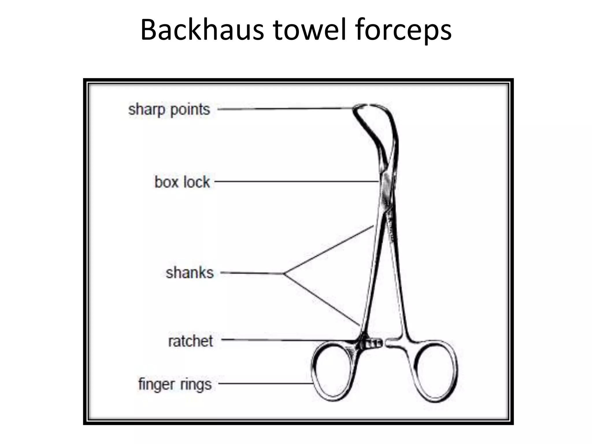 Backhaus towel forceps
 