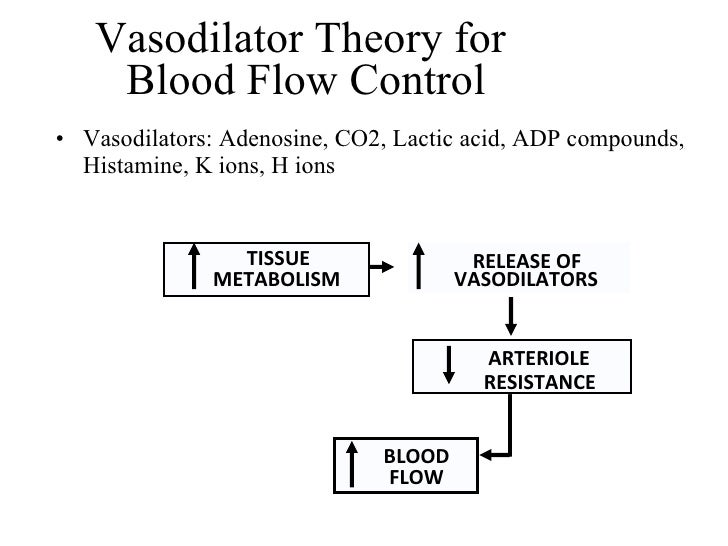Vascular Sys Student Notes