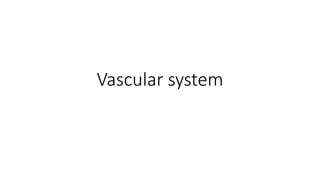 Vascular system
 