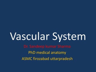 Vascular System
Dr. Sandeep kumar Sharma
PhD medical anatomy
ASMC firozabad uttarpradesh
 