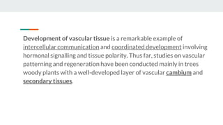 Development of vascular tissue is a remarkable example of
intercellular communication and coordinated development involving
hormonal signalling and tissue polarity. Thus far, studies on vascular
patterning and regeneration have been conducted mainly in trees
woody plants with a well-developed layer of vascular cambium and
secondary tissues.
 