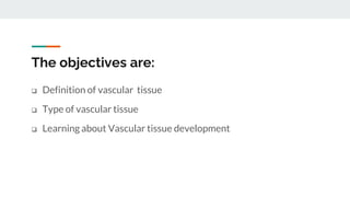 The objectives are:
 Definition of vascular tissue
 Type of vascular tissue
 Learning about Vascular tissue development
 