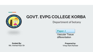 GOVT. EVPG COLLEGE KORBA
Department of botany
Paper- I
Vascular Tissue
differentiation
Guided By:
Md. Arshad Kazi Sir
Prepared by:
Vinay Kant Kanwar
 