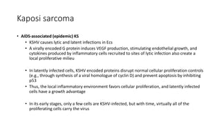 Kaposi sarcoma
• AIDS-associated (epidemic) KS
• KSHV causes lytic and latent infections in Ecs
• A virally encoded G protein induces VEGF production, stimulating endothelial growth, and
cytokines produced by inflammatory cells recruited to sites of lytic infection also create a
local proliferative milieu
• In latently infected cells, KSHV encoded proteins disrupt normal cellular proliferation controls
(e.g., through synthesis of a viral homologue of cyclin D) and prevent apoptosis by inhibiting
p53
• Thus, the local inflammatory environment favors cellular proliferation, and latently infected
cells have a growth advantage
• In its early stages, only a few cells are KSHV-infected, but with time, virtually all of the
proliferating cells carry the virus
 