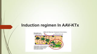 Induction regimen In AAV-KTx
 