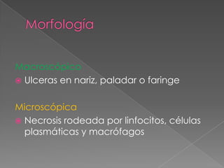 Macroscópico
 Ulceras en nariz, paladar o faringe


Microscópica
 Necrosis rodeada por linfocitos, células
  plasmáticas y macrófagos
 