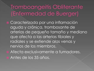  Caracterizada por una inflamación
  aguda y crónica, trombosante de
  arterias de pequeño tamaño y mediano
  que afecta a las arterias tíbiales y
  radiales y se extiende alas venas y
  nervios de los miembros.
 Afecta exclusivamente a fumadores.
 Antes de los 35 años.
 