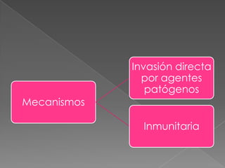 Invasión directa
               por agentes
                patógenos
Mecanismos

               Inmunitaria
 
