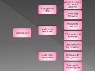 Arteritis temporal
                                  de células
                                   gigantes
                V.de grandes
                   vasos
                                  Arteritis de
                                  Takayasu


                                  Poliarteritis
                                   nudosa
                V. de vasos
                 medianos
Clasificación
                               Enfermedad de
                                  kawasaki


                               Granulomatosis
                                de wegerner


                V. de vasos      Sindrome de
                pequeños         churg-strauss


                                 Poliangeitis
                                microscópica
 