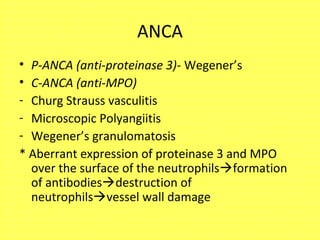 ANCA
• P-ANCA (anti-proteinase 3)- Wegener’s
• C-ANCA (anti-MPO)
- Churg Strauss vasculitis
- Microscopic Polyangiitis
- Wegener’s granulomatosis
* Aberrant expression of proteinase 3 and MPO
over the surface of the neutrophilsformation
of antibodiesdestruction of
neutrophilsvessel wall damage
 
