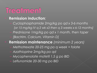 • Remission induction:
– Cyclophosphamide 2mg/kg po qd x 3-6 months
[or 15 mg/kg IV q 2 wk x3 then q 3 weeks x 6-12 months]
– Prednisone 1mg/kg po qd x 1 month, then taper
– [Bactrim, Calcium, Vitamin D]
• Remission maintenance (minimum 2 years)
– Methotrexate 20-25 mg po q week + folate
– Azathioprine 2mg/kg po qd
– Mycophenolate mofetil 1.5 g po BID
– Leflunomide 20-30 mg po BID
 
