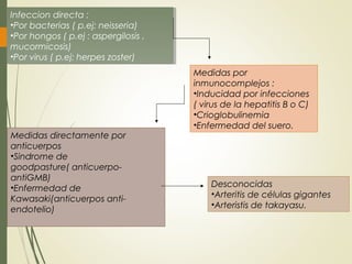 Infeccion directa :
•Por bacterias ( p.ej: neisseria)
•Por hongos ( p.ej : aspergilosis ,
mucormicosis)
•Por virus ( p.ej: herpes zoster)
Infeccion directa :
•Por bacterias ( p.ej: neisseria)
•Por hongos ( p.ej : aspergilosis ,
mucormicosis)
•Por virus ( p.ej: herpes zoster)
Medidas por
inmunocomplejos :
•Inducidad por infecciones
( virus de la hepatitis B o C)
•Crioglobulinemia
•Enfermedad del suero.
Medidas directamente por
anticuerpos
•Sindrome de
goodpasture( anticuerpo-
antiGMB)
•Enfermedad de
Kawasaki(anticuerpos anti-
endotelio)
Desconocidas
•Arteritis de células gigantes
•Arteristis de takayasu.
 