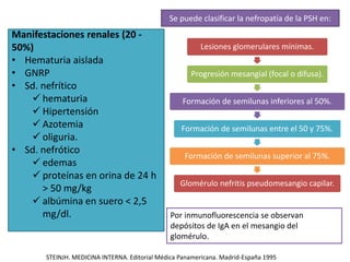 Lesiones glomerulares mínimas.
Progresión mesangial (focal o difusa).
Formación de semilunas inferiores al 50%.
Formación de semilunas entre el 50 y 75%.
Formación de semilunas superior al 75%.
Glomérulo nefritis pseudomesangio capilar.
Por inmunofluorescencia se observan
depósitos de IgA en el mesangio del
glomérulo.
Se puede clasificar la nefropatía de la PSH en:
Manifestaciones renales (20 -
50%)
• Hematuria aislada
• GNRP
• Sd. nefrítico
 hematuria
 Hipertensión
 Azotemia
 oliguria.
• Sd. nefrótico
 edemas
 proteínas en orina de 24 h
> 50 mg/kg
 albúmina en suero < 2,5
mg/dl.
STEINJH. MEDICINA INTERNA. Editorial Médica Panamericana. Madrid-España 1995
 
