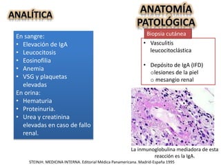 La inmunoglobulina mediadora de esta
reacción es la IgA.
• Vasculitis
leucocitoclástica
• Depósito de IgA (IFD)
olesiones de la piel
o mesangio renal
Biopsia cutáneaEn sangre:
• Elevación de IgA
• Leucocitosis
• Eosinofilia
• Anemia
• VSG y plaquetas
elevadas
En orina:
• Hematuria
• Proteinuria.
• Urea y creatinina
elevadas en caso de fallo
renal.
STEINJH. MEDICINA INTERNA. Editorial Médica Panamericana. Madrid-España 1995
 
