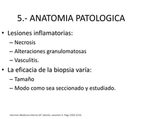 5.- ANATOMIA PATOLOGICA
• Lesiones inflamatorias:
– Necrosis
– Alteraciones granulomatosas
– Vasculitis.
• La eficacia de la biopsia varía:
– Tamaño
– Modo como sea seccionado y estudiado.
Harrison Medicina Interna 16° edición, volumen II. Pags 2203-2210.
 