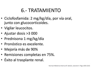 6.- TRATAMIENTO
• Ciclofosfamida: 2 mg/kg/día, por vía oral,
junto con glucocorticoides.
• Vigilar leucocitos.
• Ajustar dosis >3 000
• Prednisona 1 mg/kg/día
• Pronóstico es excelente.
• Mejoría más de 90%
• Remisiones completas en 75%.
• Éxito al trasplante renal.
Harrison Medicina Interna 16° edición, volumen II. Pags 2203-2210.
 