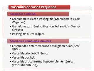Vasculitis de Vasos Pequeños
•Granulomatosis con Poliangiitis (Granulomatosis de
Wegener)
•Granulomatosis Eosinofilica con Poliangiitis (Churg–
Strauss)
•Poliangiitis Microscópica
Asociadas a ANCAS
•Enfermedad anti-membrana basal glomerular (Anti
GBM)
•Vasculitis crioglobulinémica
•Vasculitis por IgA
•Vasculitis urticariforme hipocomplementémica
(vasculitis anti-C1q).
Asociada a Complejos Inmunes
 