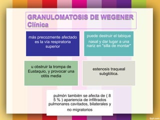 más precozmente afectado
es la vía respiratoria
superior
puede destruir el tabique
nasal y dar lugar a una
nariz en "silla de montar"
u obstruir la trompa de
Eustaquio, y provocar una
otitis media
estenosis traqueal
subglótica.
El pulmón también se afecta de ( 8
5 % ) apariencia de infiltrados
pulmonares cavitados, bilaterales y
no migratorios
 