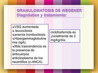 VSG aumentada
leucocitosis
anemia trombocitosis
Hipergammaglobuline
mia (IgA).
Más trascendencia es
la presencia de
anticuerpos
anticitoplasma de los
neutrófilos (c-ANCA).
ciclofosfamida es
¡nicialmente de 2
mg/kg/día.
 