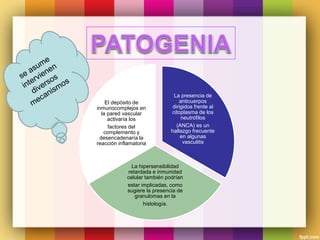 La presencia de
anticuerpos
dirigidos frente al
citoplasma de los
neutrófilos
(ANCA) es un
hallazgo frecuente
en algunas
vasculitis
La hipersensibilidad
retardada e inmunidad
celular también podrían
estar implicadas, como
sugiere la presencia de
granulomas en la
histología.
El depósito de
inmunocomplejos en
la pared vascular
activaría los
factores del
complemento y
desencadenaría la
reacción inflamatoria
 