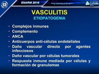 VASCULITIS
ETIOPATOGENIA
• Complejos inmunes
• Complemento
• ANCA
• Anticuerpos anti-células endoteliales
• Daño vascular directo por agentes
infecciosos
• Daño vascular por células tumorales
• Respuesta inmune mediada por células y
formación de granulomas
 